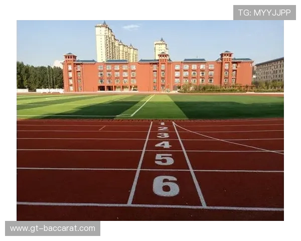 四人组携手征战竞技场，共同书写不灭传奇篇章